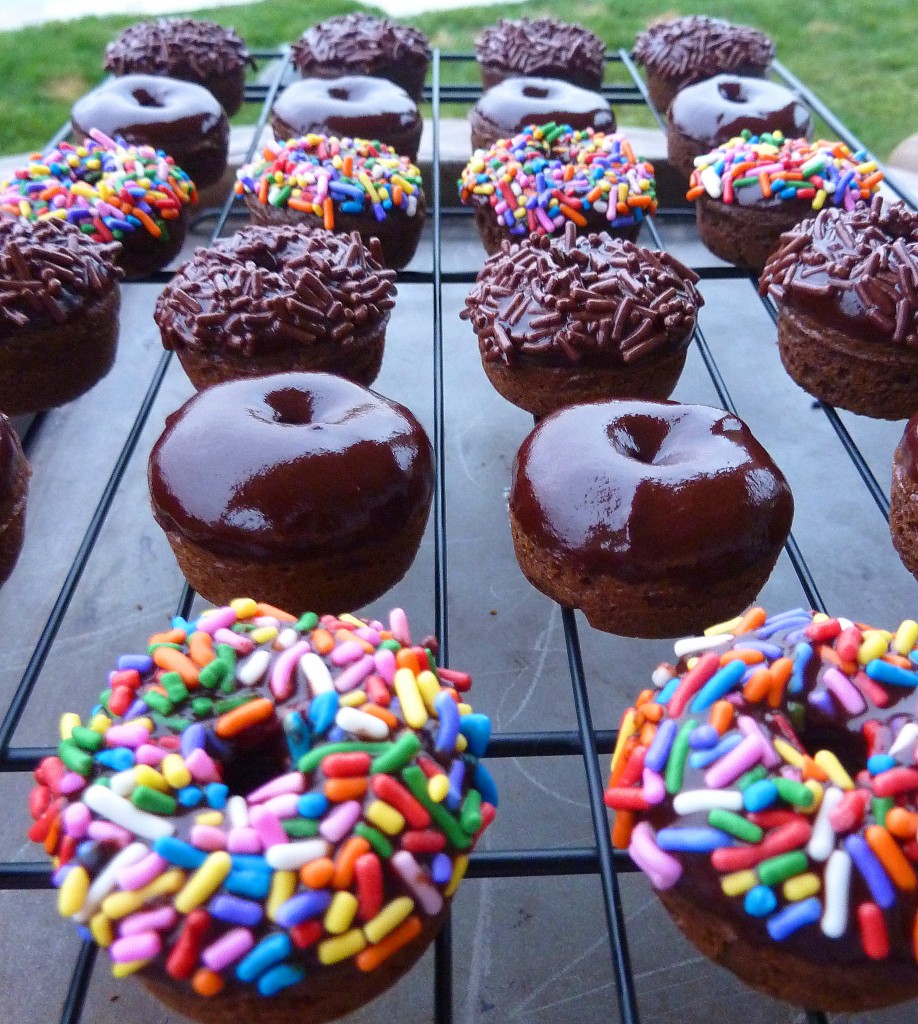 These Mini Baked Chocolate Cake Doughnuts are so delicious, and so easy, you'll absolutely love the chocolate flavor and wonderful texture.