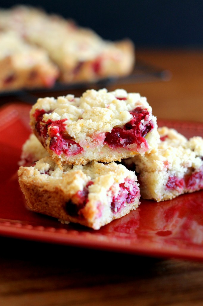Cranberry Crumb Bars | These easy bars are sweet, tart, and delicious! (From Bakerita.com)