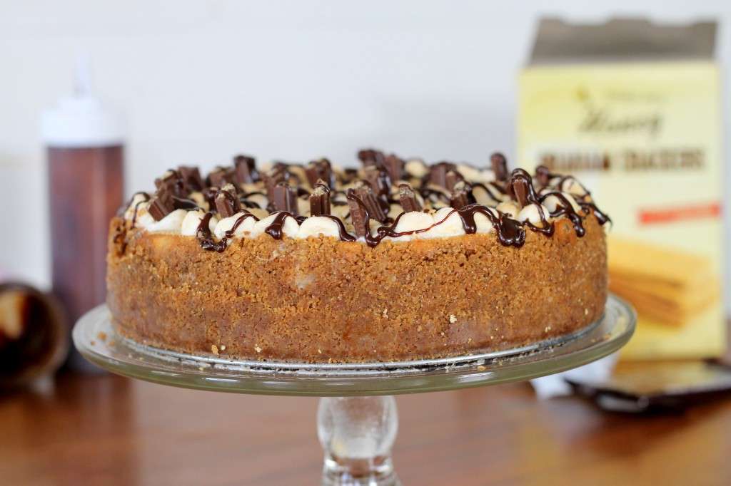 S'mores Cheesecake | Bakerita.com